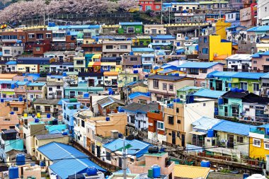 Busan Gamcheon kültür Köyü