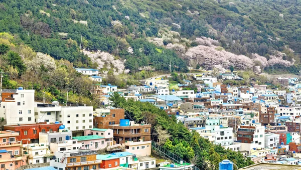 Gamcheon χωριό πολιτισμού σε Busan — Φωτογραφία Αρχείου