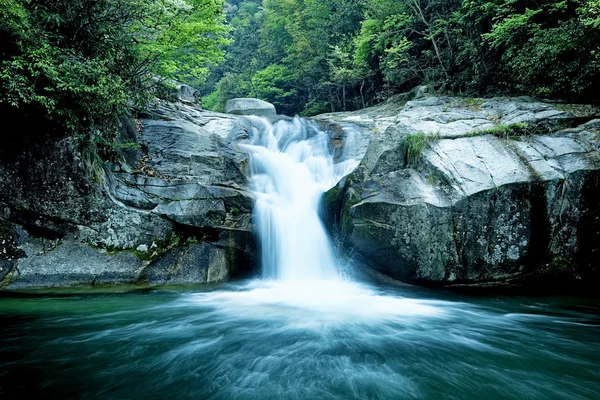 Large rain forest waterfall — Stock Photo, Image