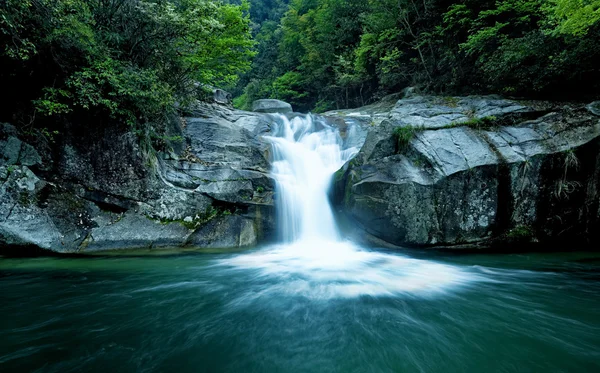 Large rain forest waterfall — Stock Photo, Image