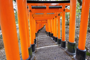 Fushimi Inari tapınak yakın