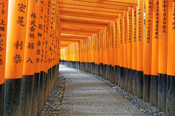 Torii Fushimi Inari Shrine — Stock fotografie