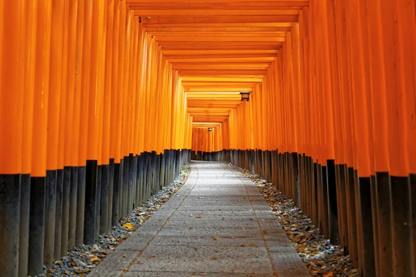 Fushimi Inari Shrine Torii — Stockfoto