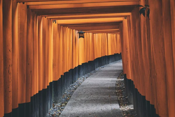 Fushimi Inari pyhäkkö Torii — kuvapankkivalokuva