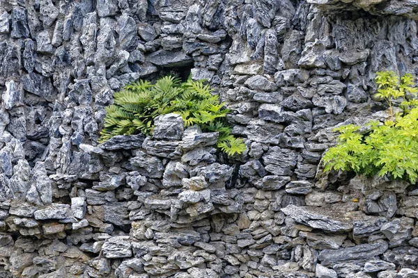 Stone and grass landscape — Stock Photo, Image