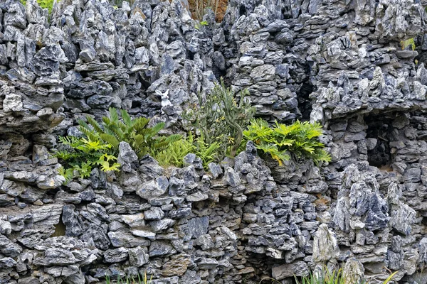 Stone and grass closeup — Stock Photo, Image