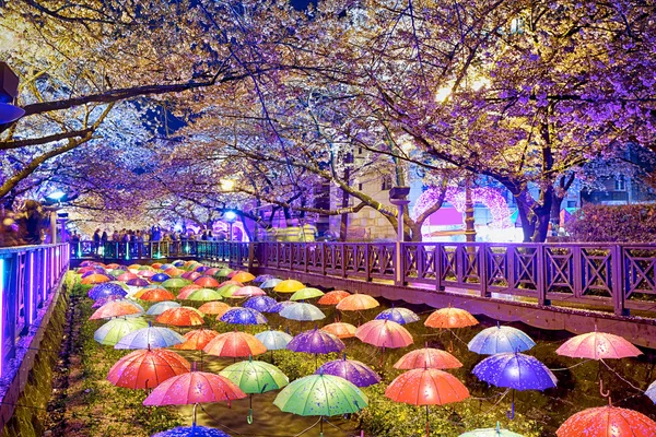 Цветение сакуры ночью — стоковое фото