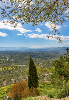 Ubeda Rönesans şehri güneyden görüntülemek
