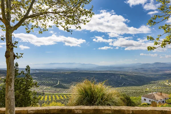 Vista a sud da Ubeda Renaissance Town — Foto Stock