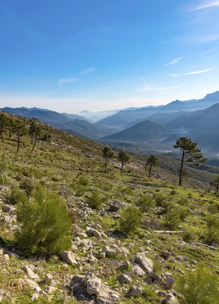 Sierra Cazorla Sıradağları üzerinde görünümü — Stok fotoğraf