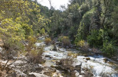 Nehir Borosa iz Sierra Cazorla dağ yürüyüş