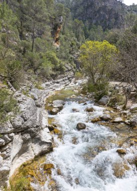 Nehir Borosa iz Sierra Cazorla dağ yürüyüş