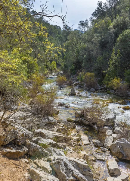Řeka Borosa pěší stezka v pohoří Sierra Cazorla — Stock fotografie