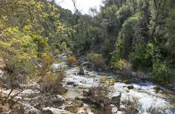 Nehir Borosa iz Sierra Cazorla dağ yürüyüş