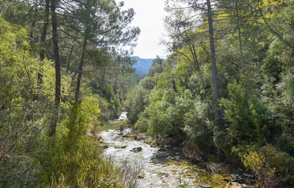 Річка Borosa ходьба стежка в Сьєрра місті Cazorla гірський хребет — стокове фото