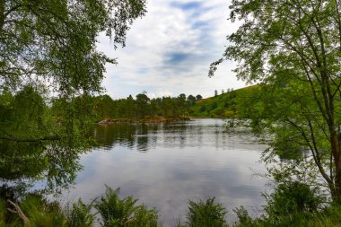 Tarn Gölü Coniston yakınlarında, Lake District, Cumbria, İngiltere, İngiltere
