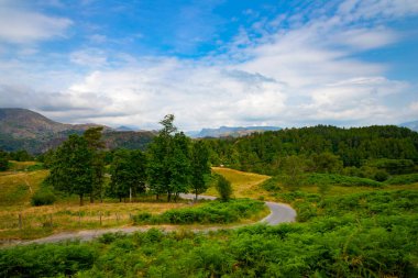 Tarn Gölü 'ne giden yol Coniston, Lake District, Cumbria, İngiltere, İngiltere yakınlarında.