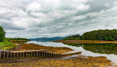 Kenmare Estuary, Kerry ilçesi, İrlanda