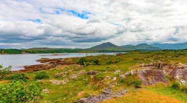 Kenmare Estuary, Kerry ilçesi, İrlanda
