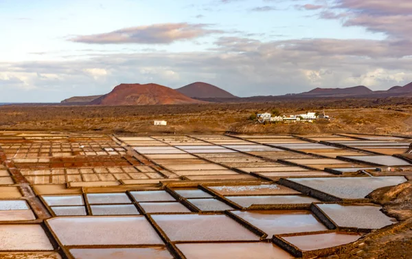 Salinas Janubio Sósíkságok Lanzarote Kanári Szigetek Spanyolország Jogdíjmentes Stock Képek