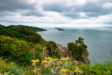 Babacık Deliği, Torquay, Güney Devon, İngiltere, İngiltere 'den kuzeye bak