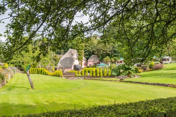 Garden at Cockington Village — Stock Photo, Image