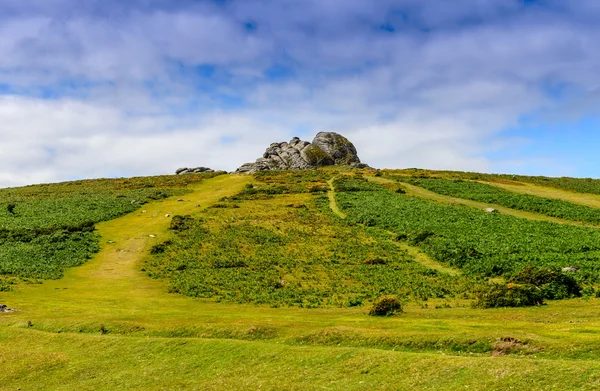 Haytor Tor. — Fotografia de Stock