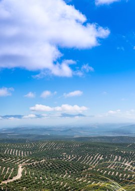 View South from Ubeda clipart