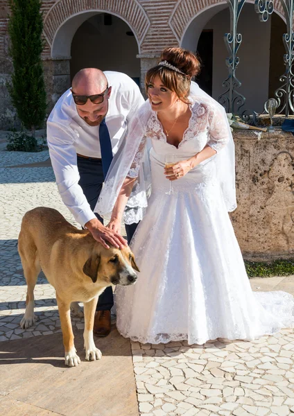 Novia y novio — Foto de Stock