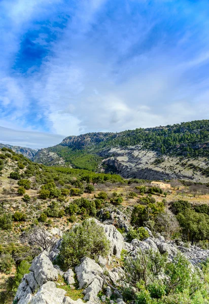 Barranco Valentin cerca del río Guazalamanco — Foto de Stock