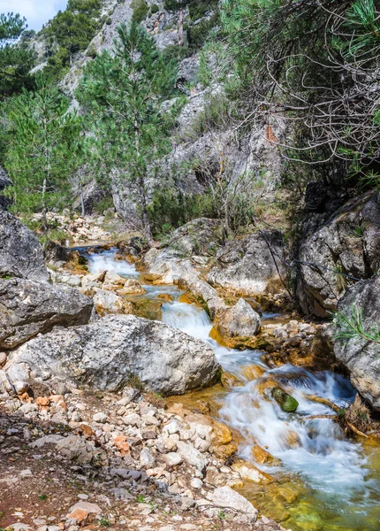 Wodospad na rzece Guazalamanco — Zdjęcie stockowe