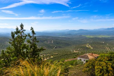 Ubeda güneyinde görünümü