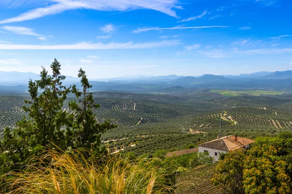 Vista Sul de Ubeda — Fotografia de Stock