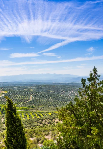 Vedere la sud de Ubeda — Fotografie, imagine de stoc