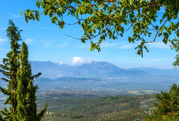 View South of Ubeda — Stock Photo, Image