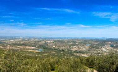View of Olive Trees West from Quesada near Cazorla clipart