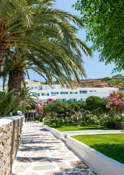 Blomma trädgård nära gamla staden hamnen, Mykonos Island Grekland — Stockfoto