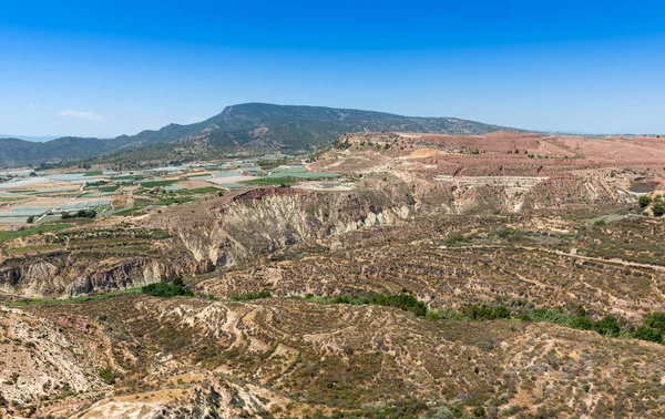 View from the Homenaje Tower Aledo Castle — Stock Photo, Image