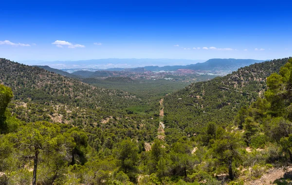 Udsigt øst fra Sierra Espuna - Stock-foto