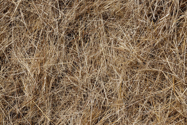 Mowed Straw - Natural Concept Background