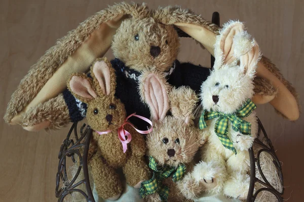 Easter Bunnies Family — Stock Photo, Image
