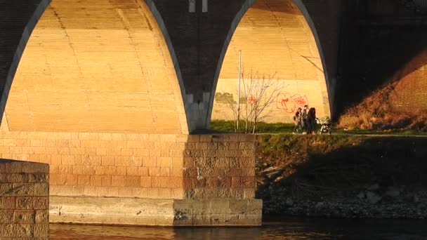 Pavia Włochy Lutego 2016 Rodzinny Spacer Ścieżce Pod Starym Mostem — Wideo stockowe