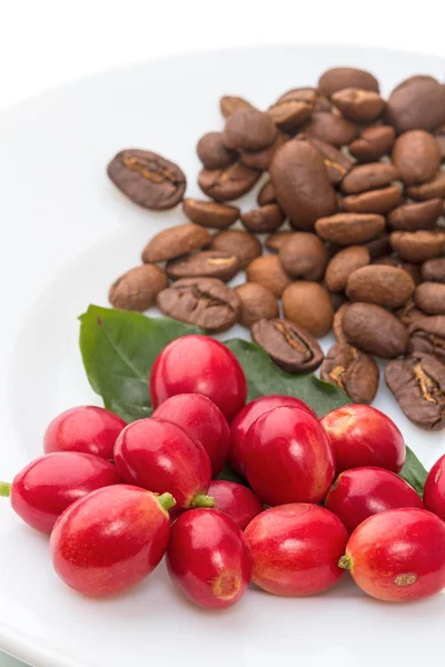 Kırmızı meyveler ve kavrulmuş kahve çekirdekleri beyaz bir plaka üzerinde — Stok fotoğraf