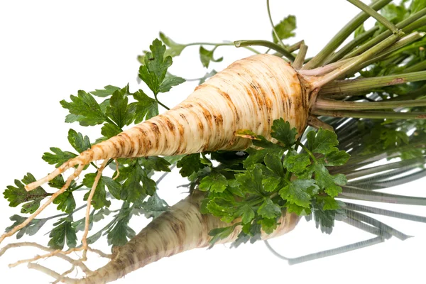 Parsley root  on white — Stock Photo, Image