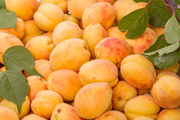 Background of ripe apricots — Stock Photo, Image