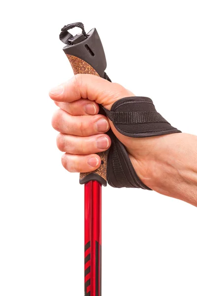 Hand met Nordic walking stokken — Stockfoto