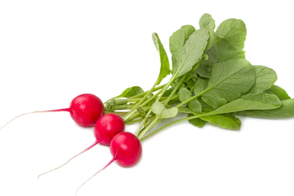 Three red radish — Stock Photo, Image