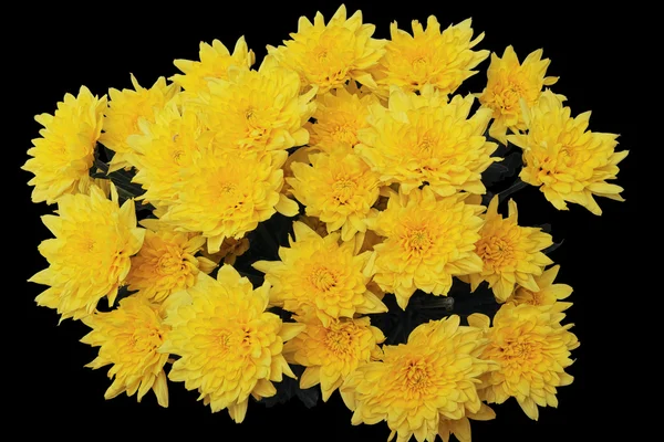 Boeket van gele chrysanten op een zwart — Stockfoto