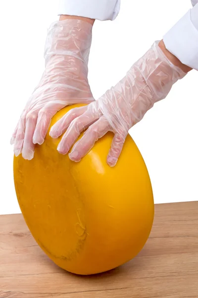 Mains dans les gants transparents avec le fromage de tête — Photo