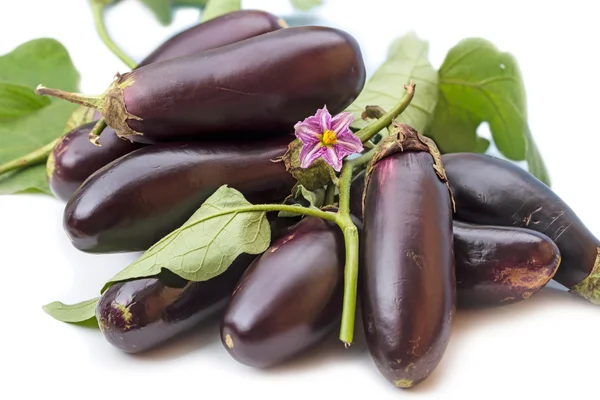 Haufen Auberginen und eine Blume — Stockfoto